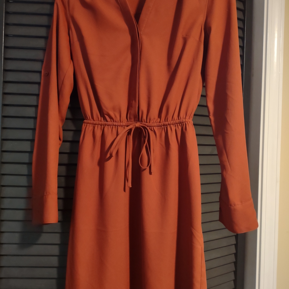 Express Rust Long Sleeve Dress